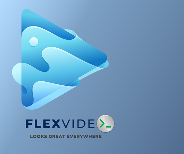 FlexVideo